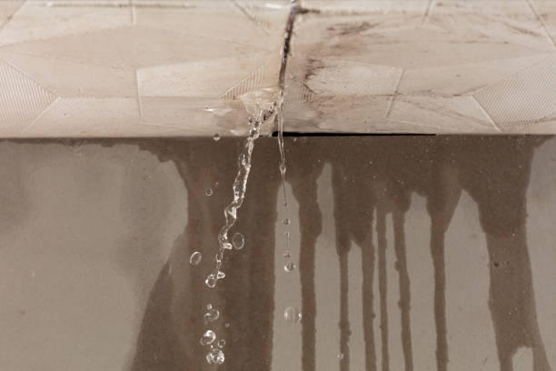 Professional Water Damage Repair technician working in Bardwell, TX